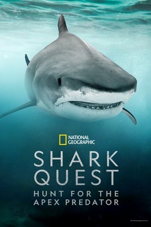 Shark Quest: Hunt For The Apex Predator