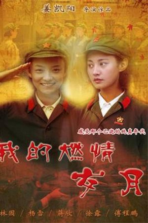 我的燃情岁月