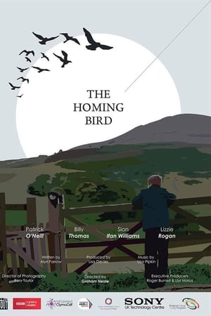 The Homing Bird