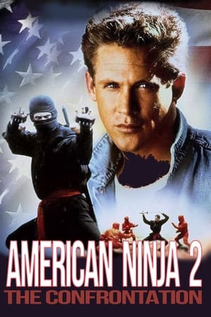 美国忍者2：战斗人