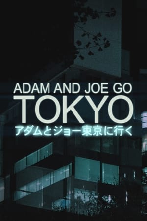 《Adam and Joe Go Tokyo》2003电视剧集在线观看完整版剧情