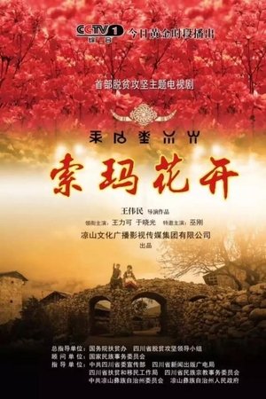 索玛花开