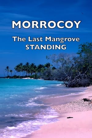 Morrocoy: The Last Mangrove Standing