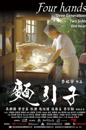 面引子
