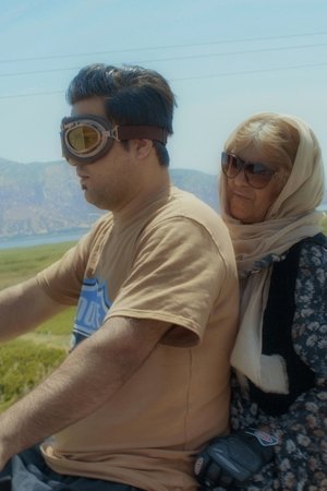 ئاوازی باڵەکان