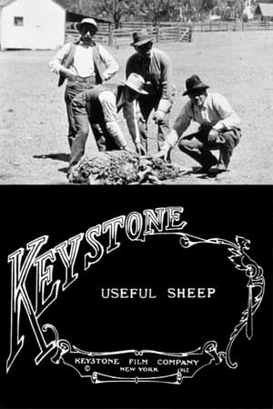 Useful Sheep