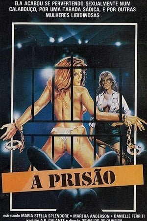 巴西女子监狱实录