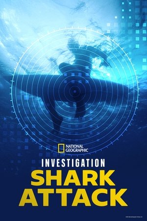 Investigation Shark Attack
