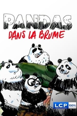 Pandas dans la brume第2季