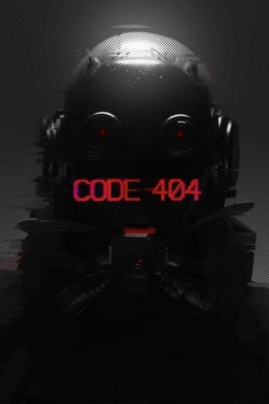 代码 404第3季