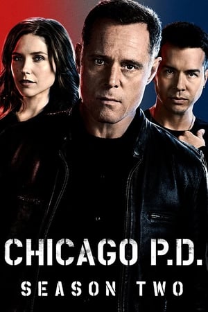 芝加哥警署第 2 季