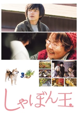 肥皂泡