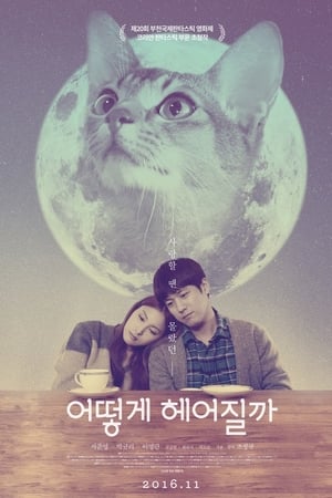 如何与我的猫分手