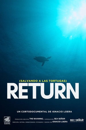 Return: Salvando a las Tortugas