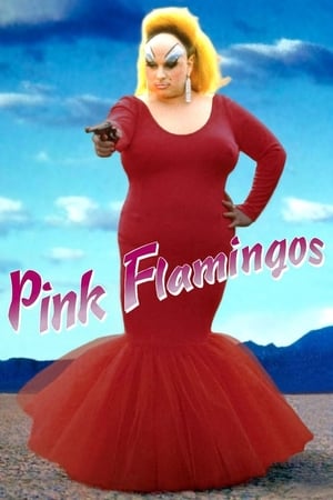 粉红色的火烈鸟Pink Flamingos