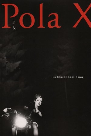 宝拉XPola X