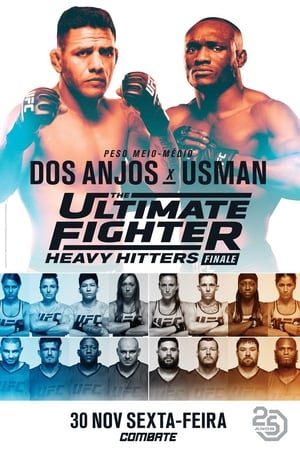 The Ultimate Fighter 28 Finale