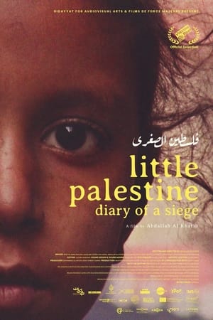 小巴勒斯坦——围城日记