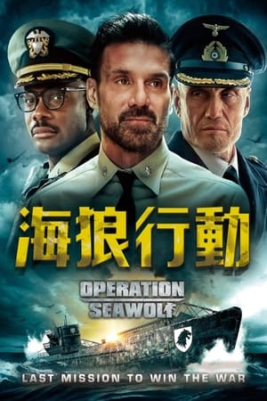 《海狼行动》2022电影在线观看完整版剧情 - xb1