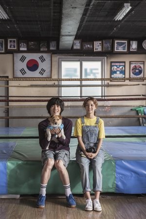 盘索里拳击手