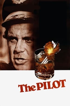 飞行员,The Pilot(1980电影)