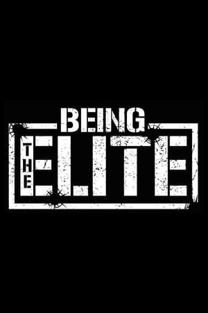 Being The Elite第2季
