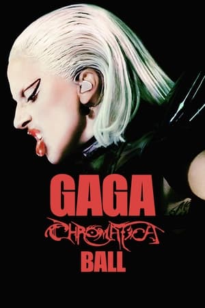 Lady Gaga：神彩巡回演唱会