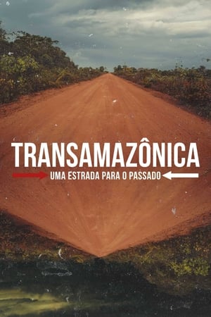 Transamazônica: Uma Estrada para o Passado