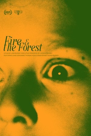 Fire and the Forest