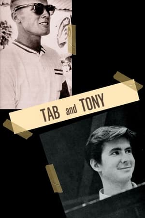 泰布与托尼