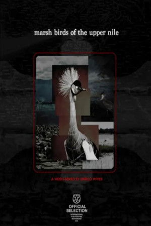 Marsh Birds of the Upper Nile