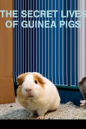 The Secret Lives of Guinea Pigs