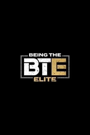 Being The Elite第3季