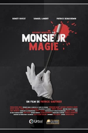 Monsieur Magie