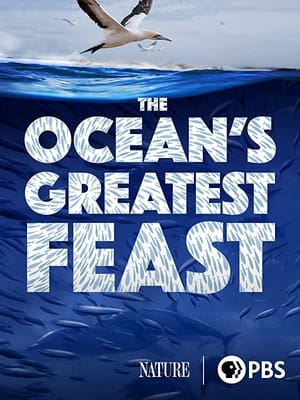 The Ocean’s Greatest Feast