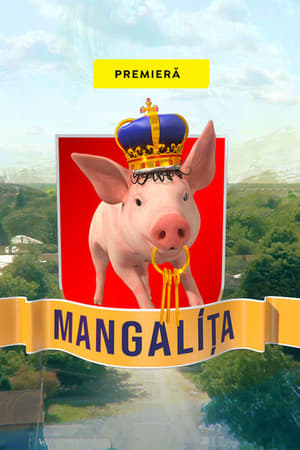 Mangalița第2季