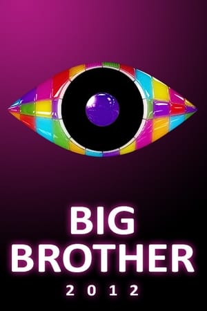 Big Brother第13季