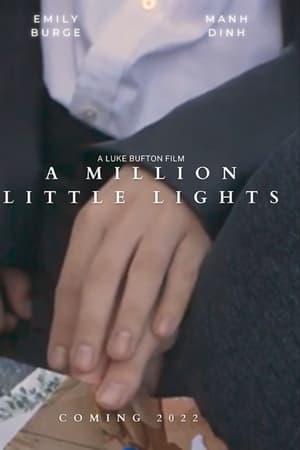 A Million Little Lights