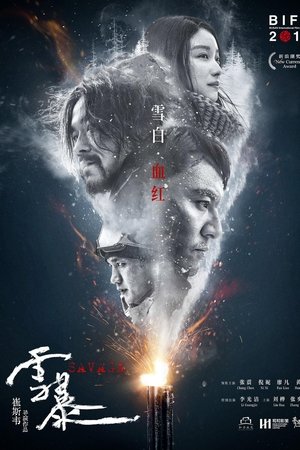 雪暴