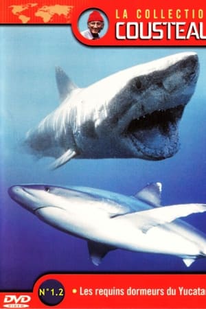 La Collection Cousteau N°1-2 | Les Requins Dormeurs Du Yucatan