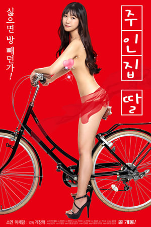 房东太太的女儿