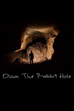 Down the Rabbit Hole(2019电影)