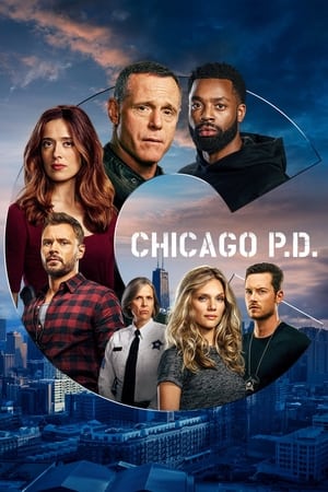 芝加哥警署第8季