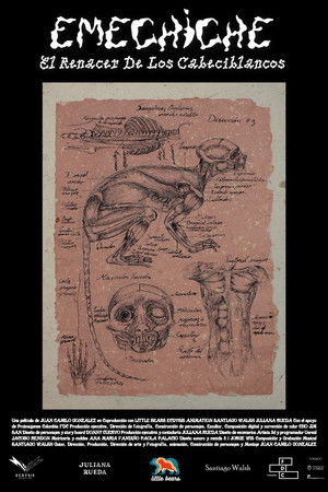 Emechiche, El renacer de los cabeciblancos