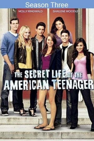 The Secret Life of the American Teenager第3季