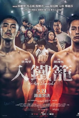 入铁笼