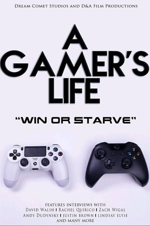 A Gamer's Life