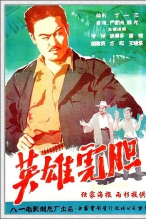 英雄虎胆