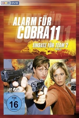 Alarm für Cobra 11 - Einsatz für Team 2第2季