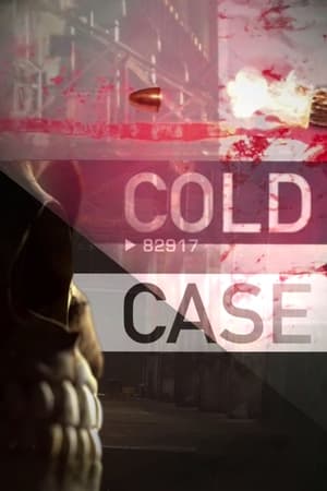Cold Case Geschichte